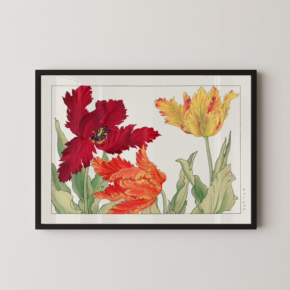 Tanigami Kōnan — Parrot tulip | Japanese Botanical Woodblock Print