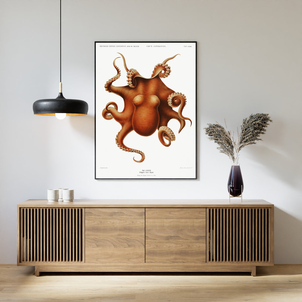 Ewald Heinrich Rübsaamen — Polypus levis | Scientific Illustration Print