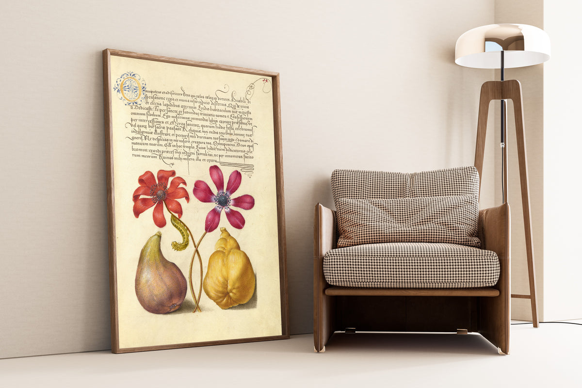 Joris Hoefnagel — Poppy Anemones, Caterpillar, Fig, and Quince | Botanical Calligraphy Print