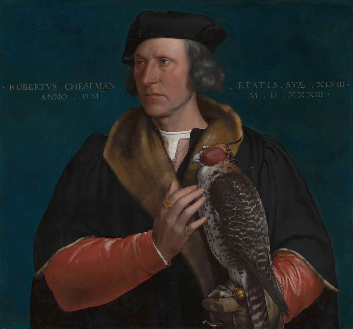 Portrait of Robert Cheseman by Hans Holbein the Younger — A falconer in black and red strokes his hooded falcon