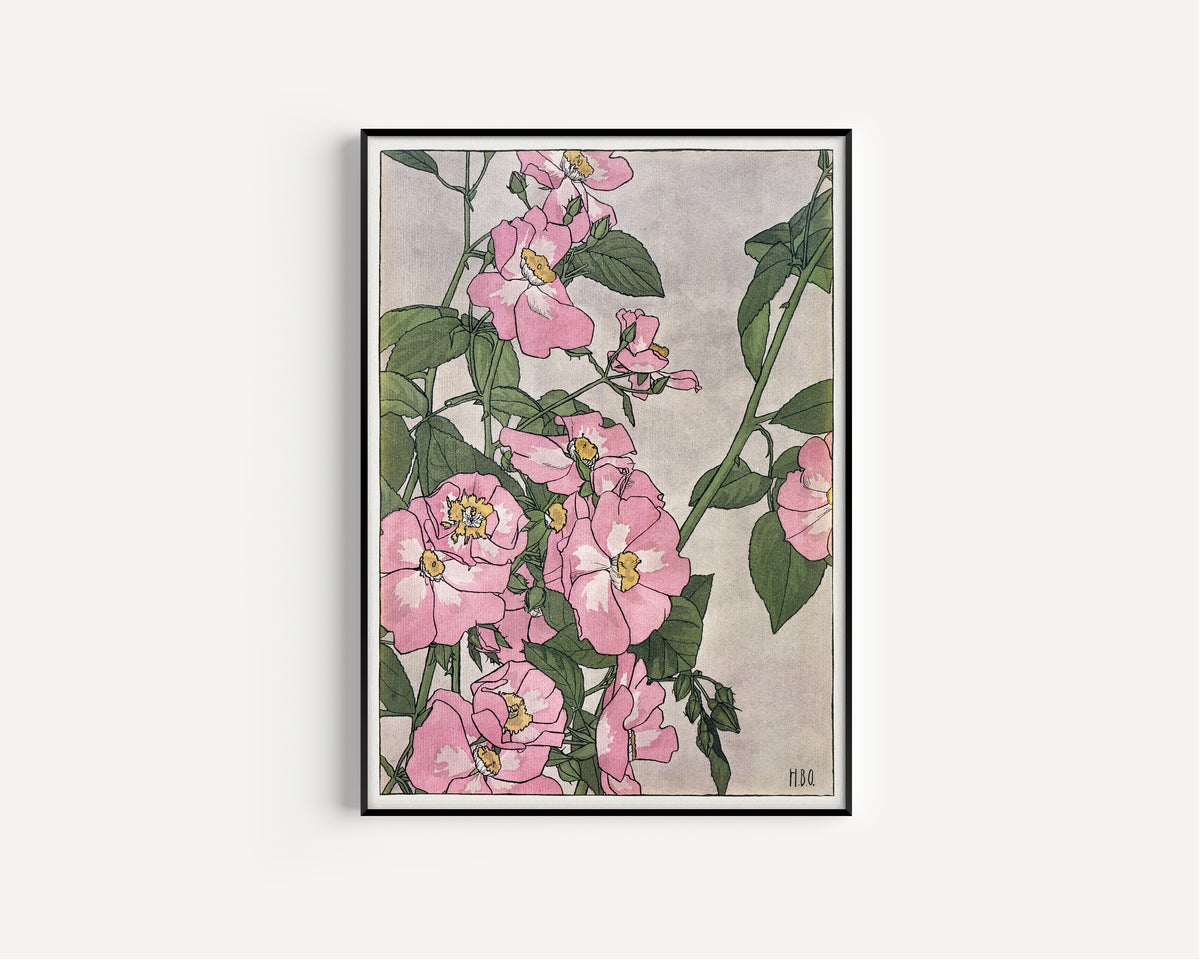 Prairie Rose by Hannah Borger Overbeck — in a slim black frame on a plain white wall