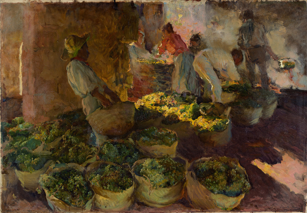 Joaquín Sorolla — Preparation of Raisins (Preparación de pasas) | Fine Art Print