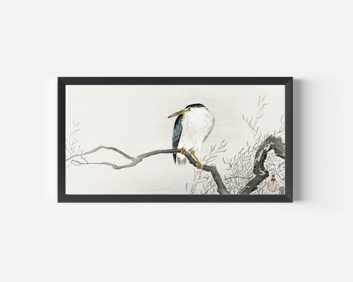 Night Heron on a Gnarled Branch by Ohara Koson — in a wide black frame on a plain white wall