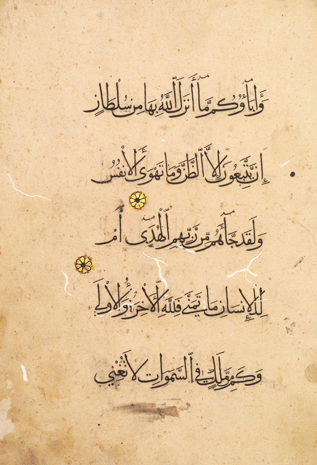 Qur'an Folio: Sura al-Najm (Left Page) — Five lines of black muhaqqaq with two gold rosettes on cream paper