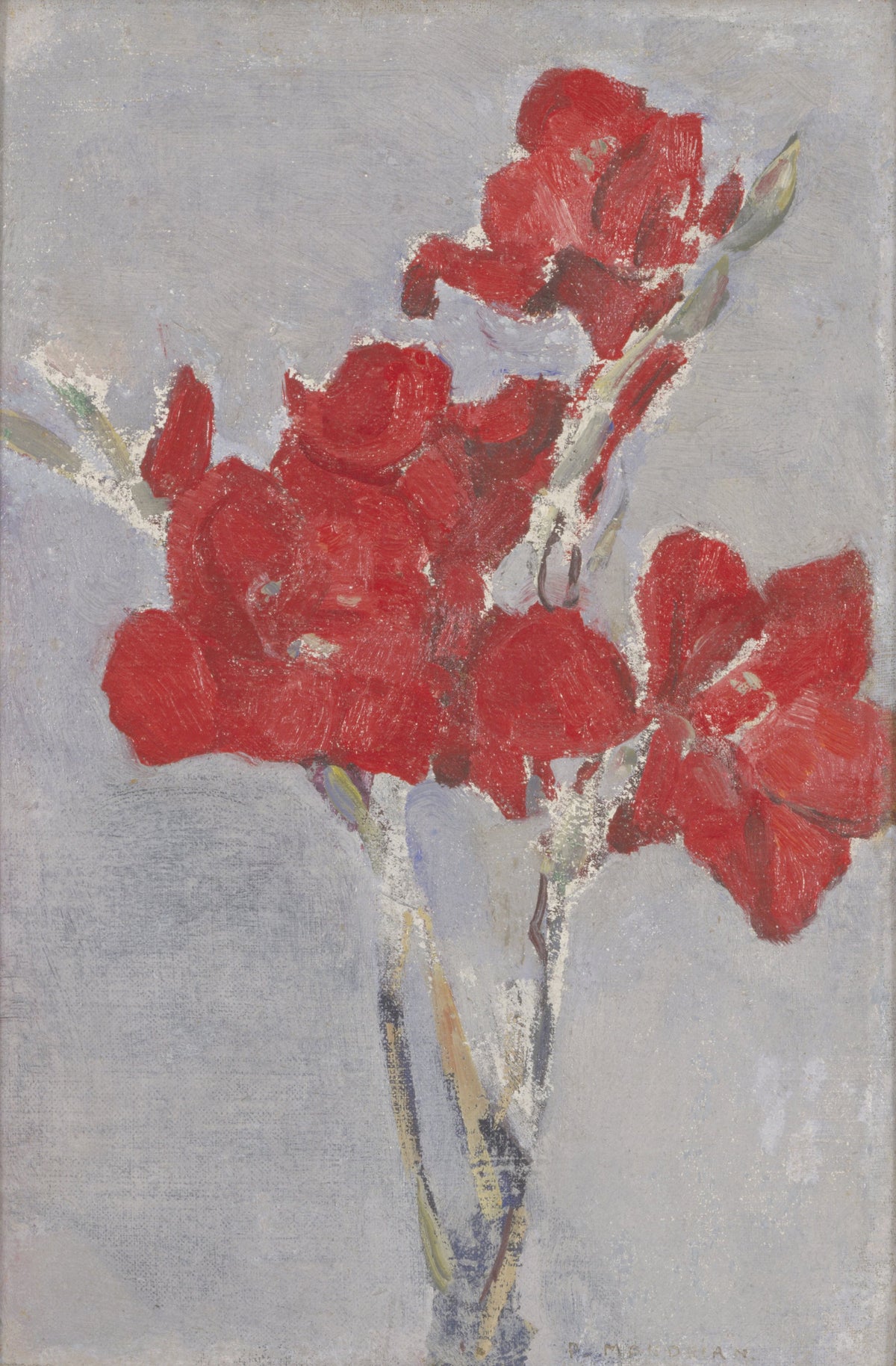 Red Gladioli by Piet Mondrian — Scarlet gladioli in a slim glass vase against a soft grey ground