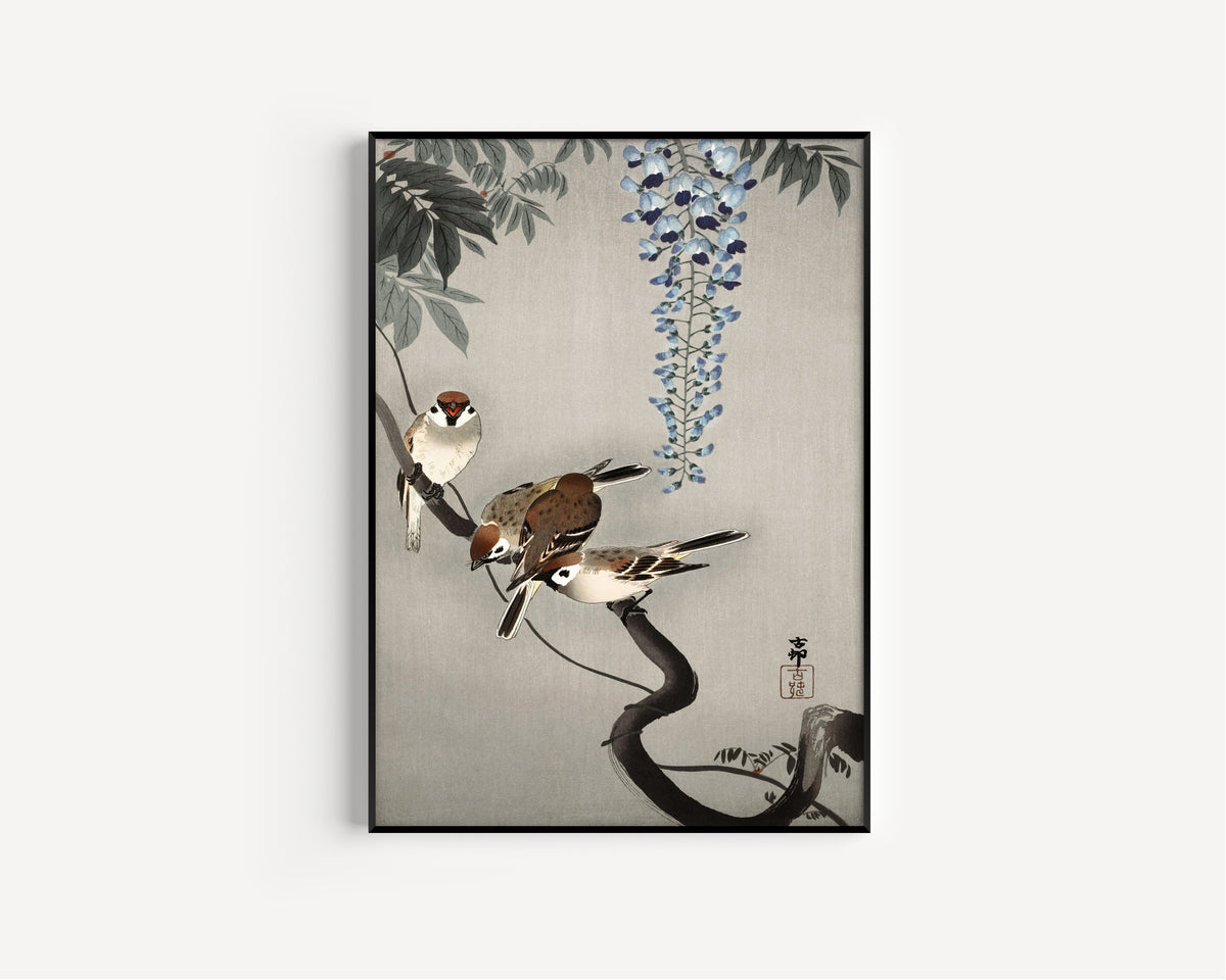 Ohara Koson — Ring Sparrows at Wisteria | Japanese Bird & Flower Woodblock Print