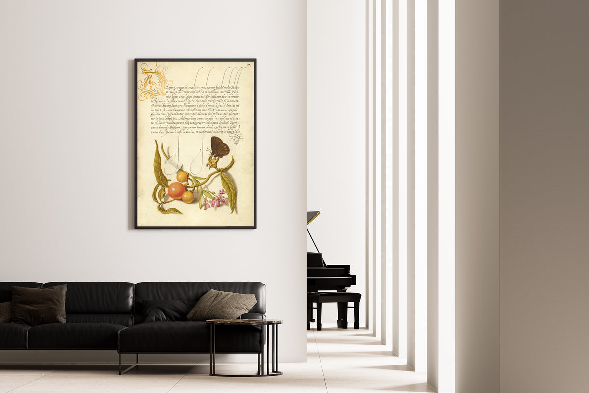 Joris Hoefnagel — Ringlet, False Jerusalem Cherry, and Milkwort | Botanical Calligraphy Print