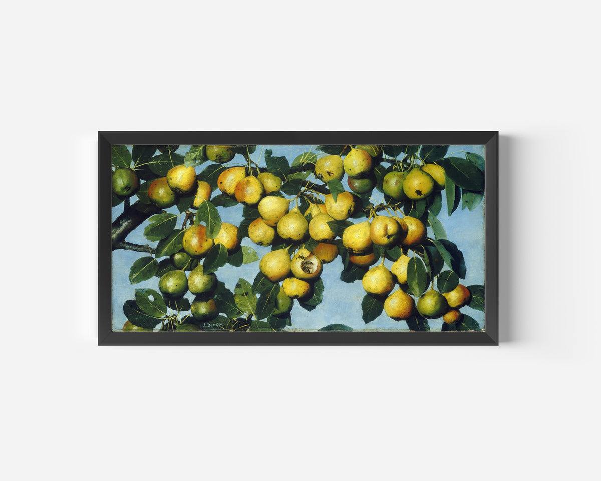 Ripening Pears by Joseph Decker — in a wide black frame on a plain white wall