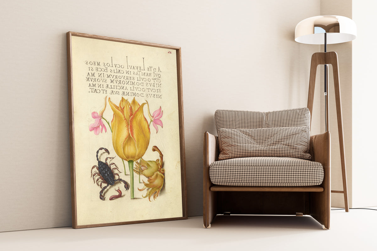 Framed art print of Rocket Larkspurs, Tulip, Scorpion, Millepede, and European… by Joris Hoefnagel, leaning against a wall beside an armchair and a floor lamp