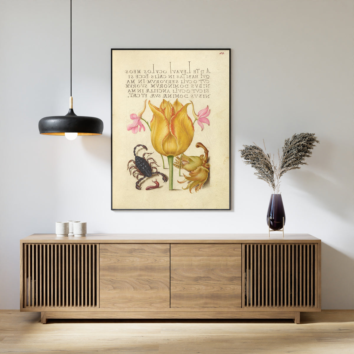 Framed art print of Rocket Larkspurs, Tulip, Scorpion, Millepede, and European Filbert by Joris Hoefnagel, above a slatted wood sideboard