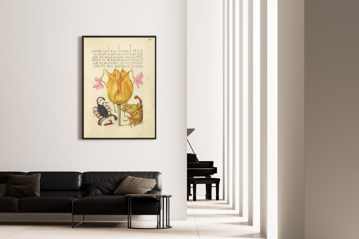 Framed art print of Rocket Larkspurs, Tulip, Scorpion, Millepede, and European Filbert by Joris Hoefnagel, on the wall of a minimal living room