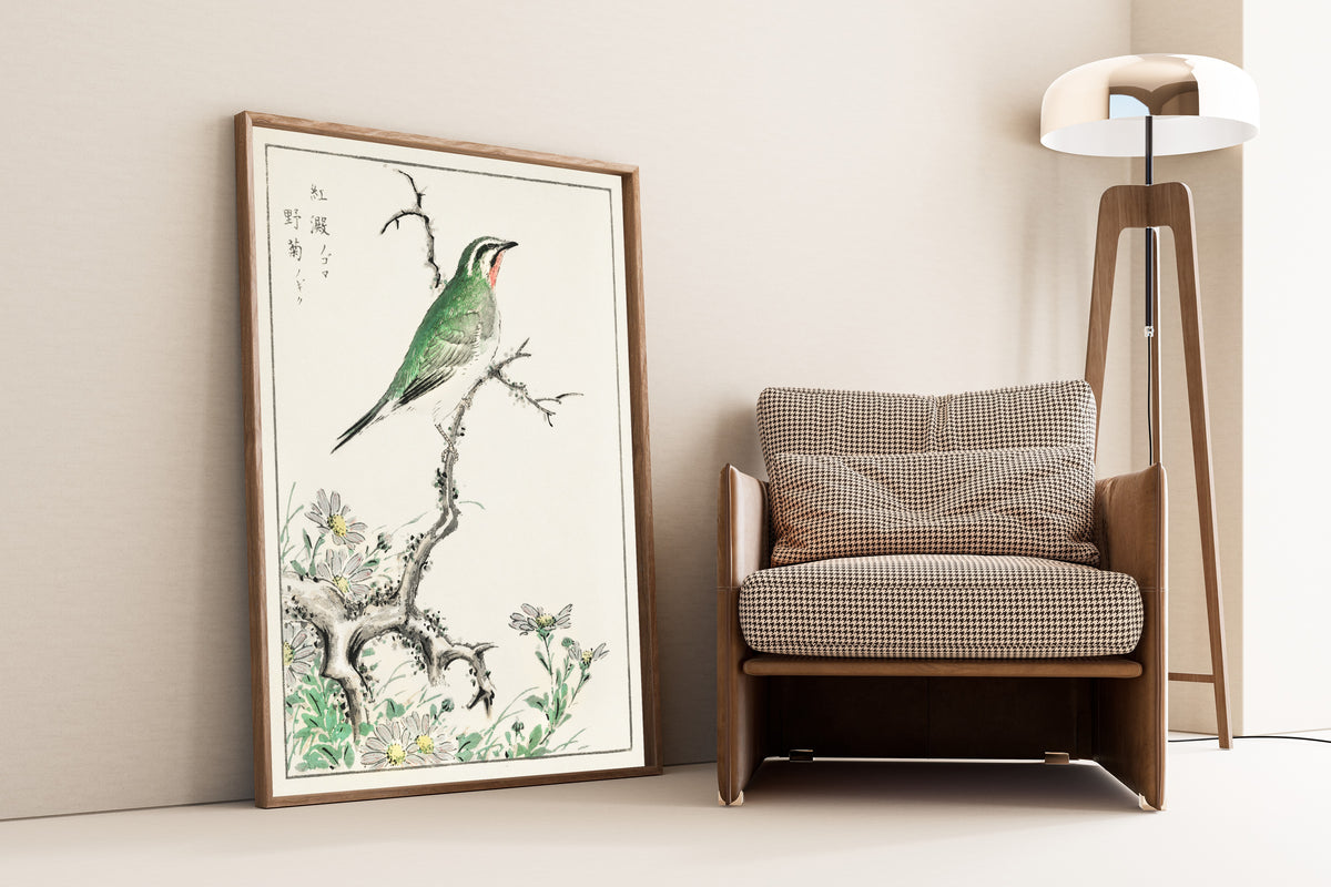 Numata Kashū — Ruby Throat and Wild Chrysanthemum | Japanese Bird & Flower Woodblock Print