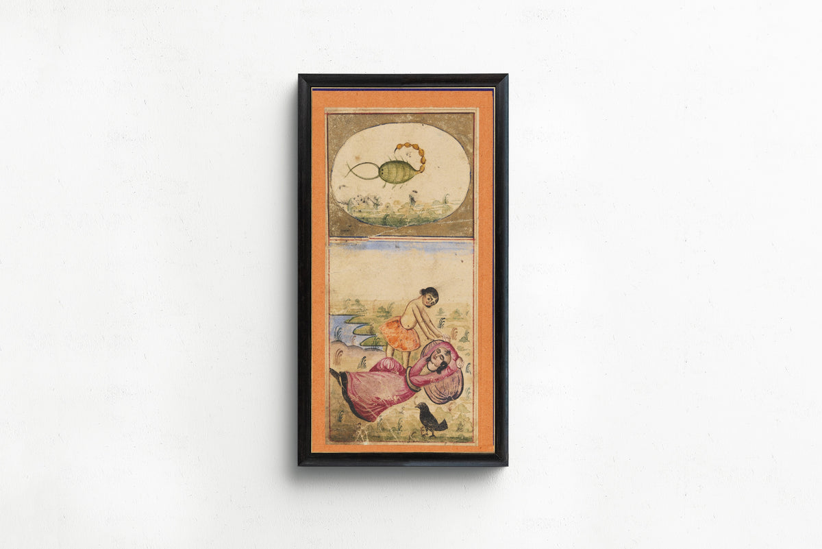 Framed art print of Signs of the Zodiac: Scorpio, the Scorpion by Unknown artist, in a slim black frame on a plain white wall