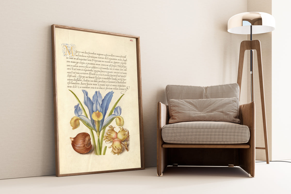 Framed art print of Spanish Chestnut, English Iris, and European Filbert by Joris Hoefnagel, leaning against a wall beside an armchair and a floor lamp