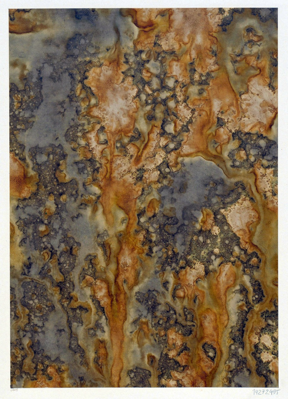 Historic Surface Studies | Graphik Paper Archive (Trade Collection)