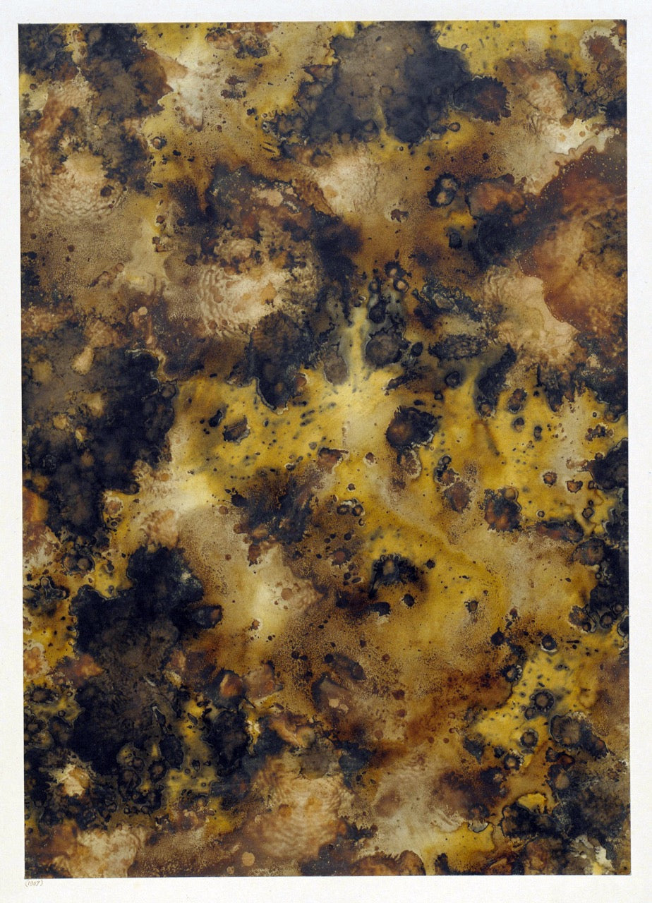 Historic Surface Studies | Graphik Paper Archive (Trade Collection)