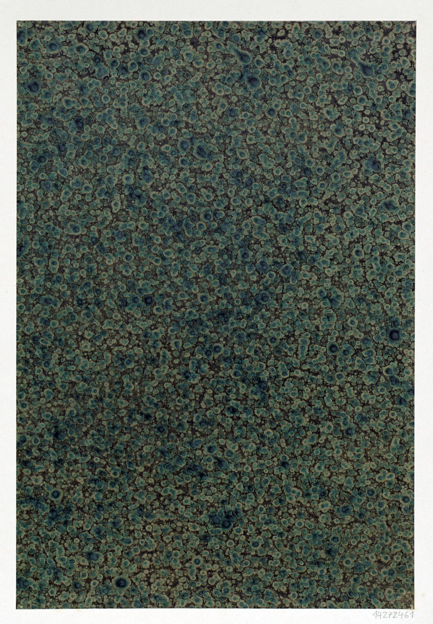 Historic Surface Studies | Graphik Paper Archive (Trade Collection)