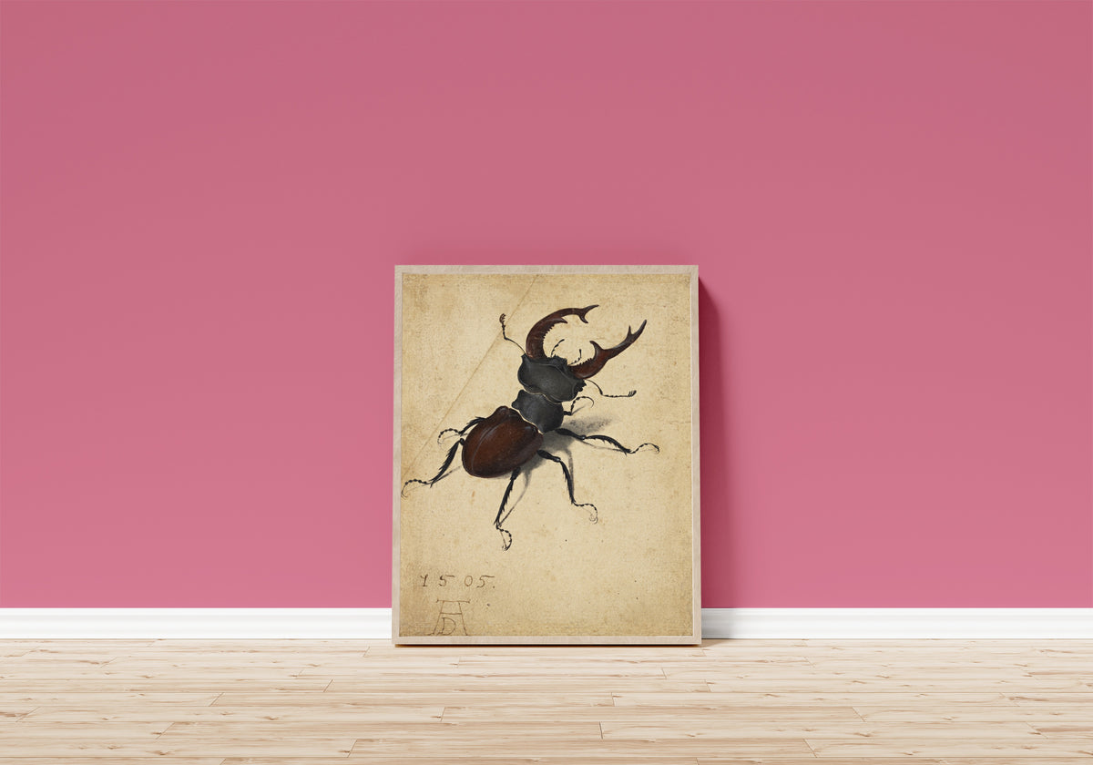 Framed art print of Stag Beetle by Albrecht Dürer, in a light wood frame leaning on a pink wall above a wooden floor