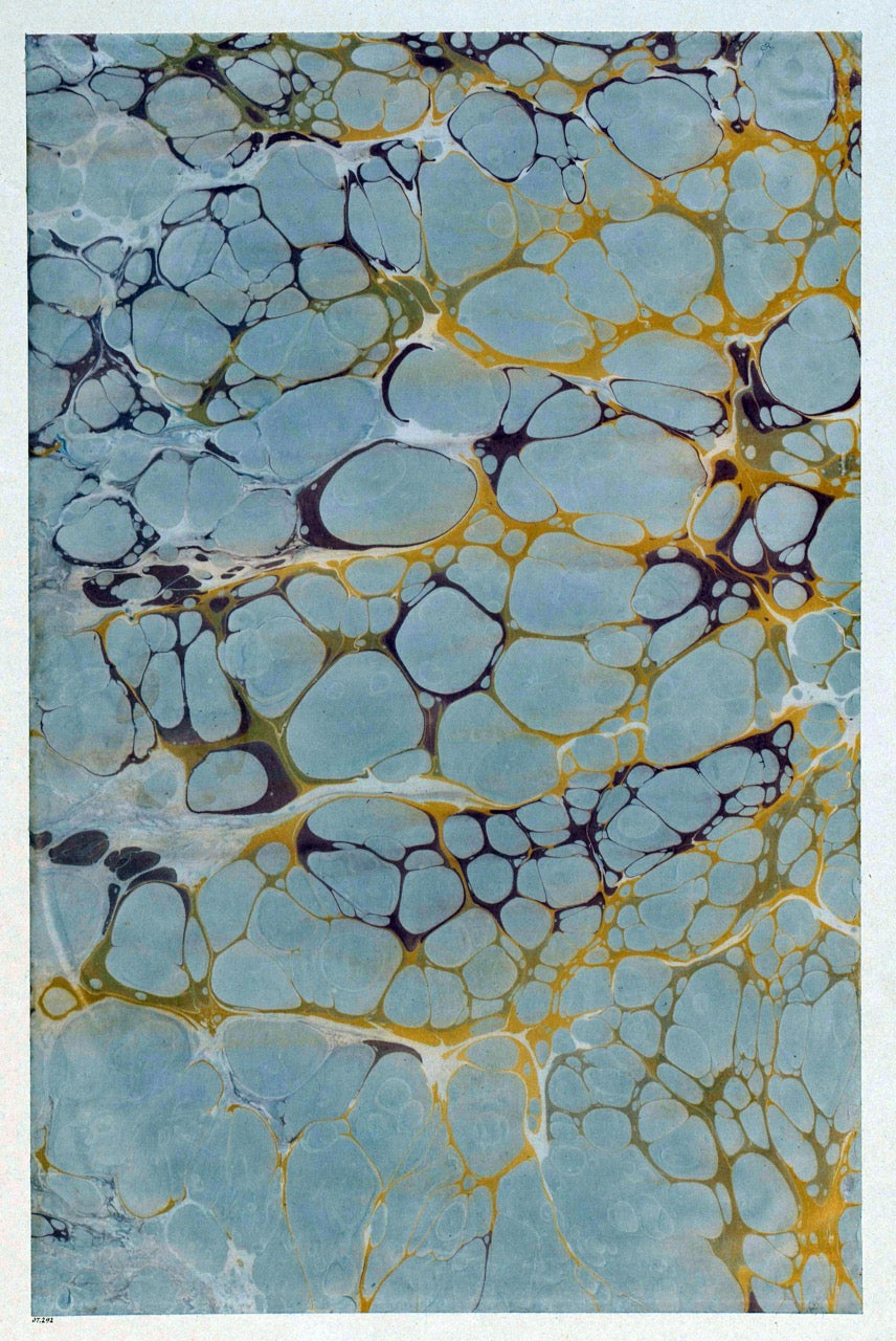 Historic Surface Studies | Graphik Paper Archive (Trade Collection)