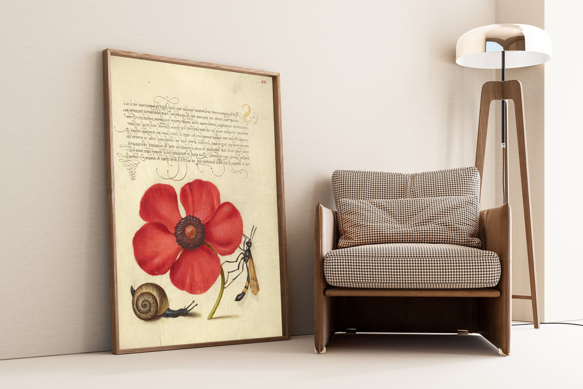 Joris Hoefnagel — Terrestrial Mollusk, Poppy Anemone, and Crane Fly | Botanical Calligraphy Print