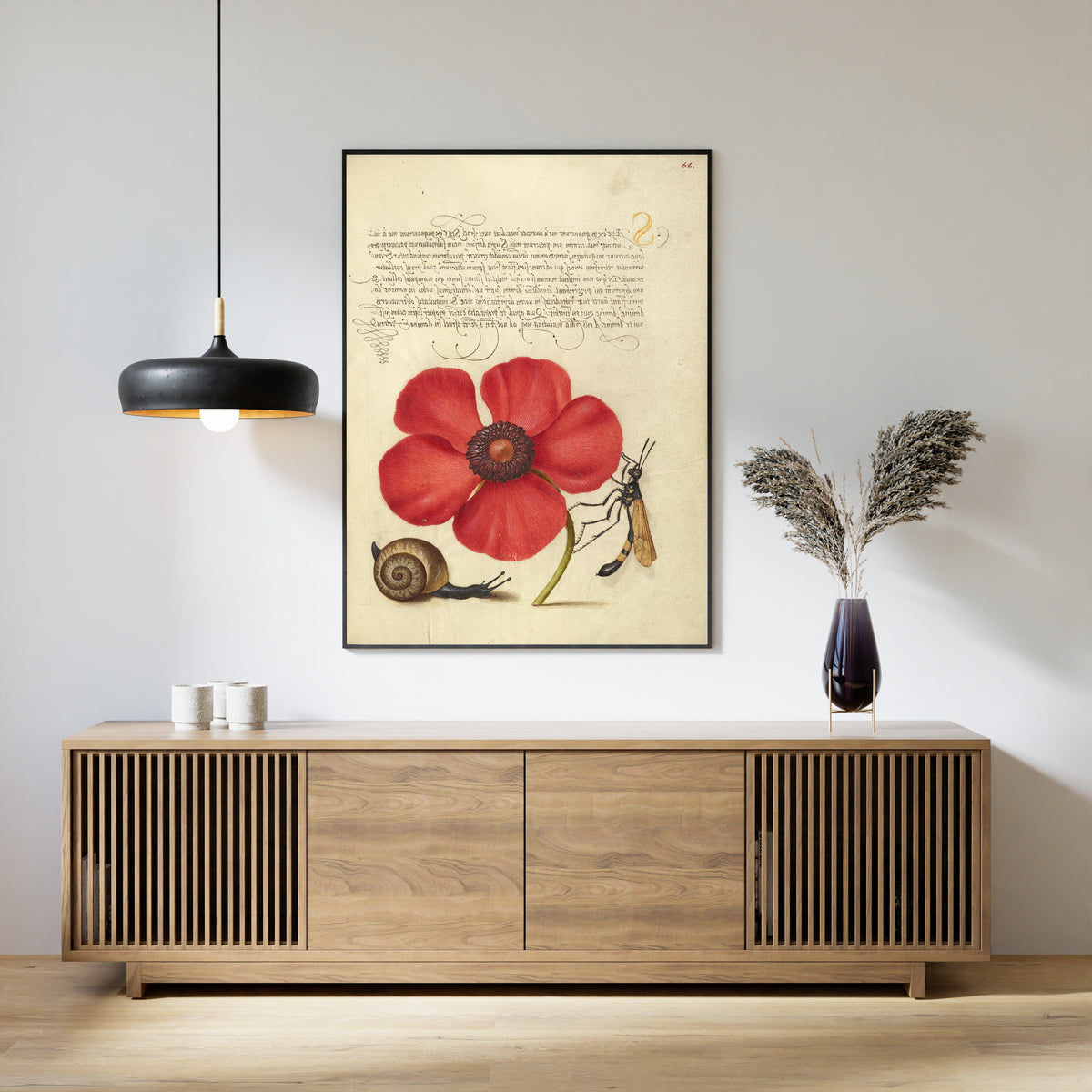 Joris Hoefnagel — Terrestrial Mollusk, Poppy Anemone, and Crane Fly | Botanical Calligraphy Print