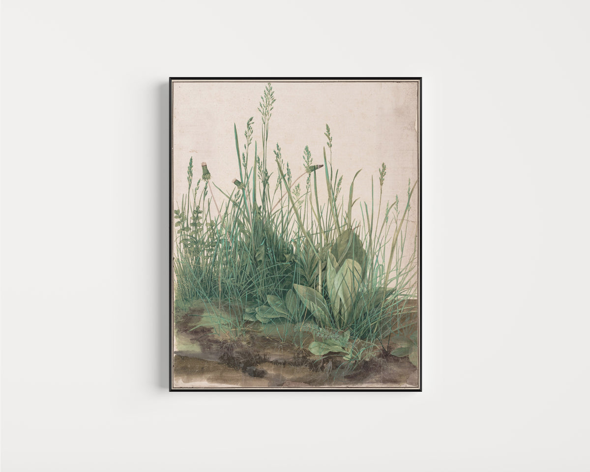 Framed art print of The Great Piece of Turf by Albrecht Dürer, in a slim black frame on a plain white wall