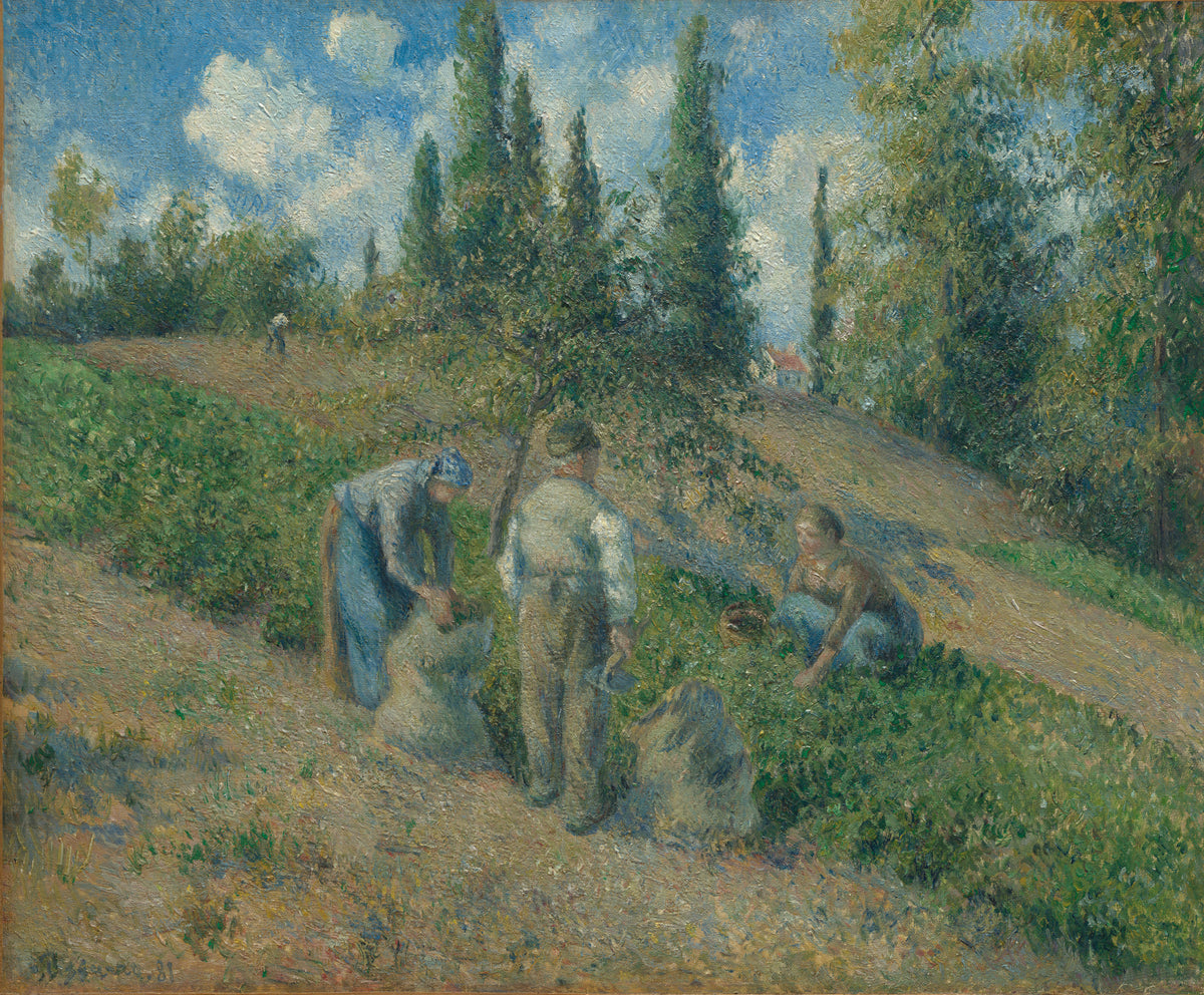 Camille Pissarro — The Harvest, Pontoise (La Récolte, Pontoise) | Fine Art Print