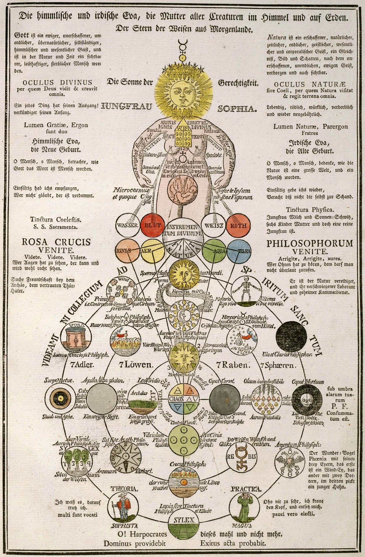 The Heavenly and Earthly Eve: Jungfrau Sophia and the Rosa Crucis by Unknown artist — A sun-headed woman above a hand-coloured tree of alchemical circles