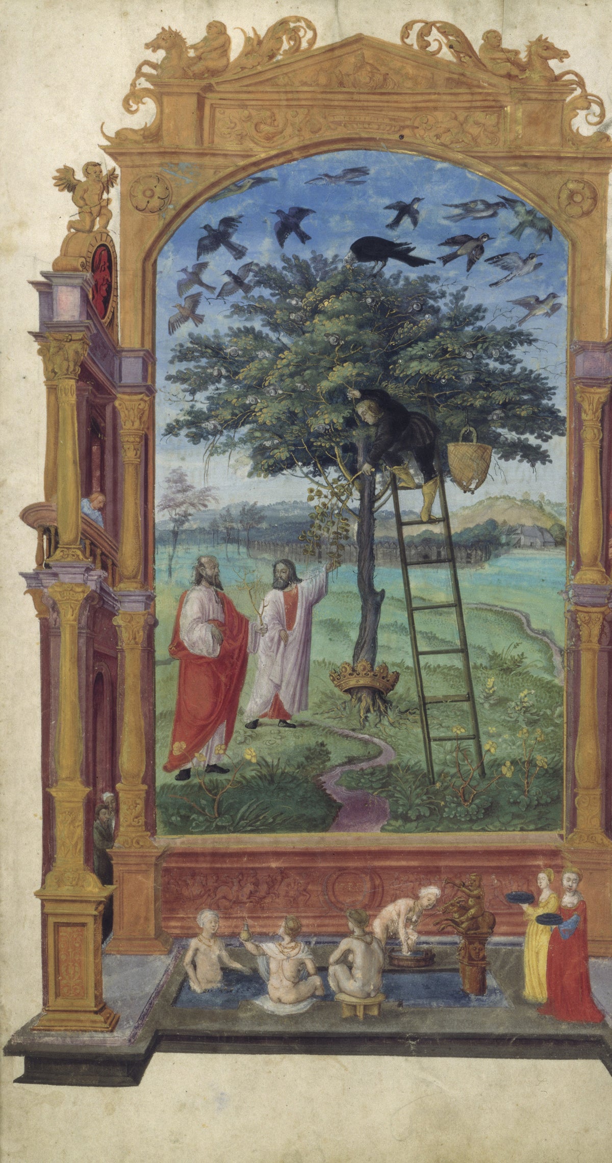 Splendor Solis — The Philosophical Tree | Illuminated Manuscript Print