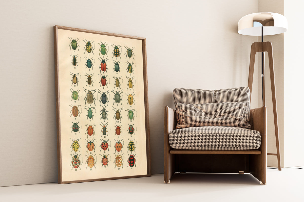 Karl Neunzig — The Beetles of Europe Pl.20 | Natural History Illustration Print