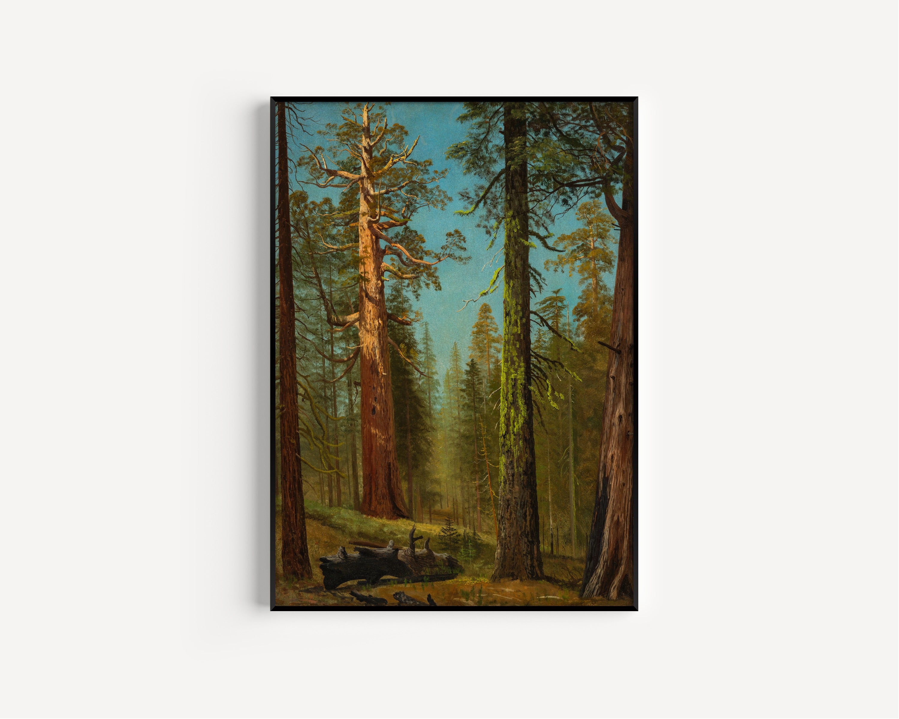 Albert Bierstadt — The Grizzly Giant Sequoia, Mariposa Grove, California | Landscape Fine Art Print