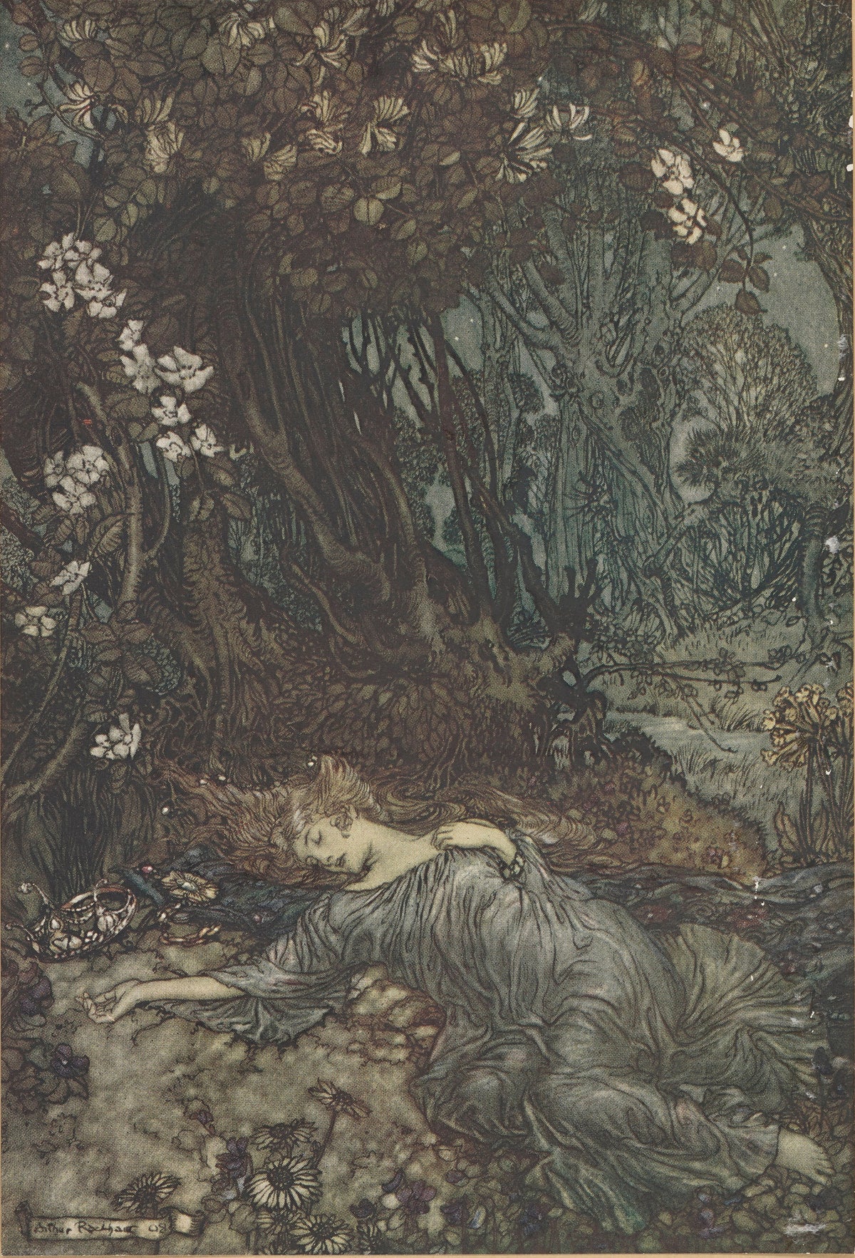 Arthur Rackham — Titania Lying Asleep | Shakespeare Illustration Print