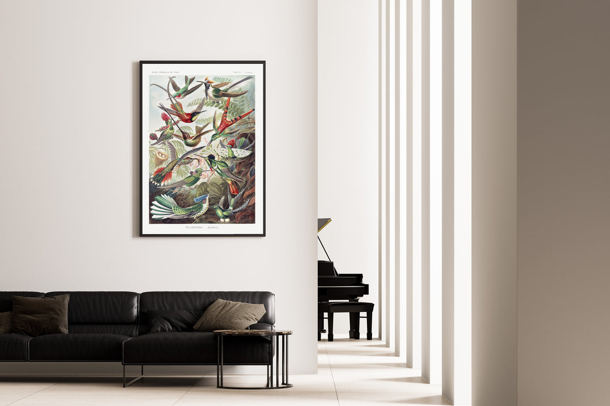 Ernst Haeckel — Trochilidae – Kolibris (Kunstformen der Natur) | Lithograph Print