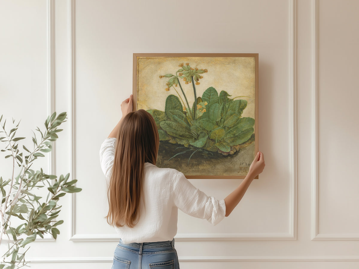 Albrecht Dürer — Tuft of Cowslips | Fine Art Print