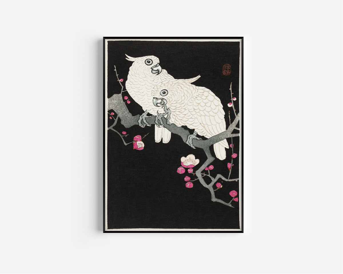 Ohara Koson — Two Cockatoos and Plum Blossom | Japanese Bird & Flower Woodblock Print