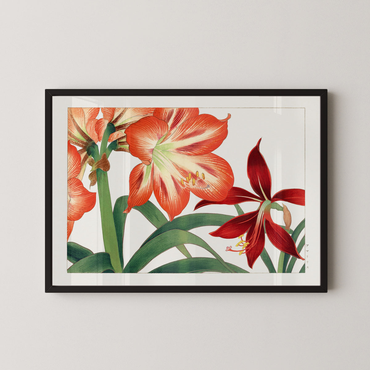 Tanigami Kōnan — Vintage amaryllis flower | Japanese Botanical Woodblock Print