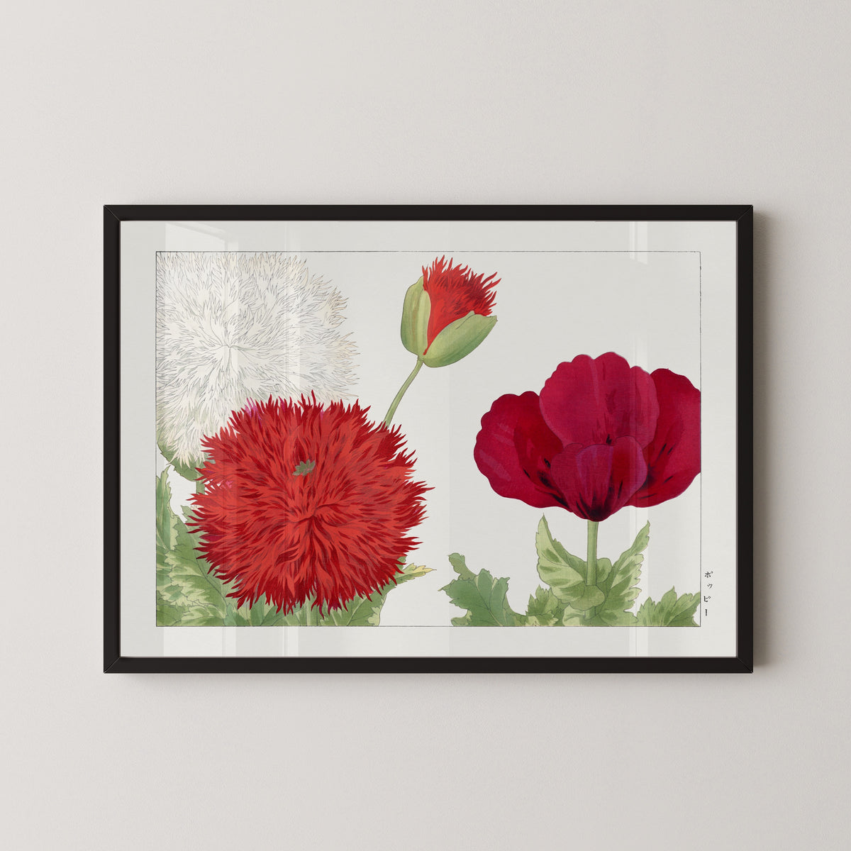 Tanigami Kōnan — Vintage poppy flower | Japanese Botanical Woodblock Print