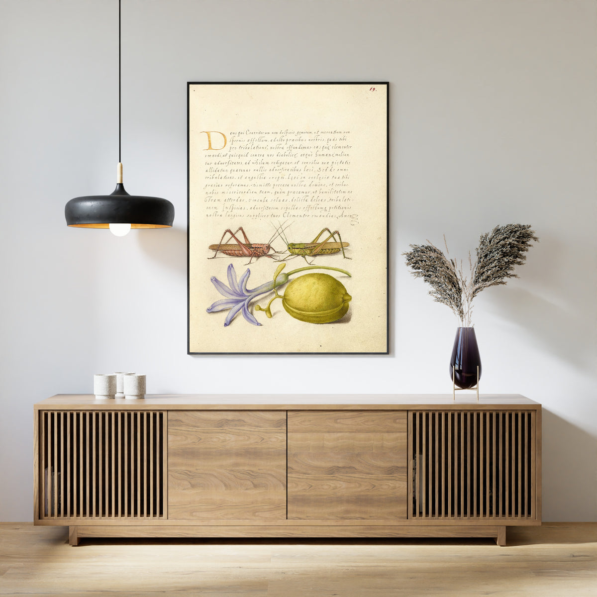 Joris Hoefnagel — Wart-Biter, Grasshopper, Hyacinth, and Almond | Botanical Calligraphy Print