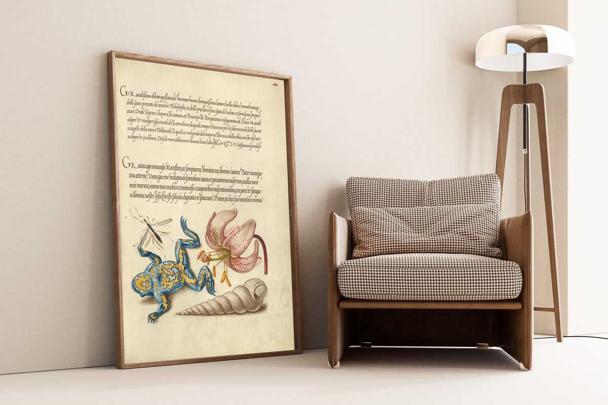 Joris Hoefnagel — Water Gnat, Martagon Lily, Yellow-Bellied Toad, and European Screw Shell | Botanical Calligraphy Print