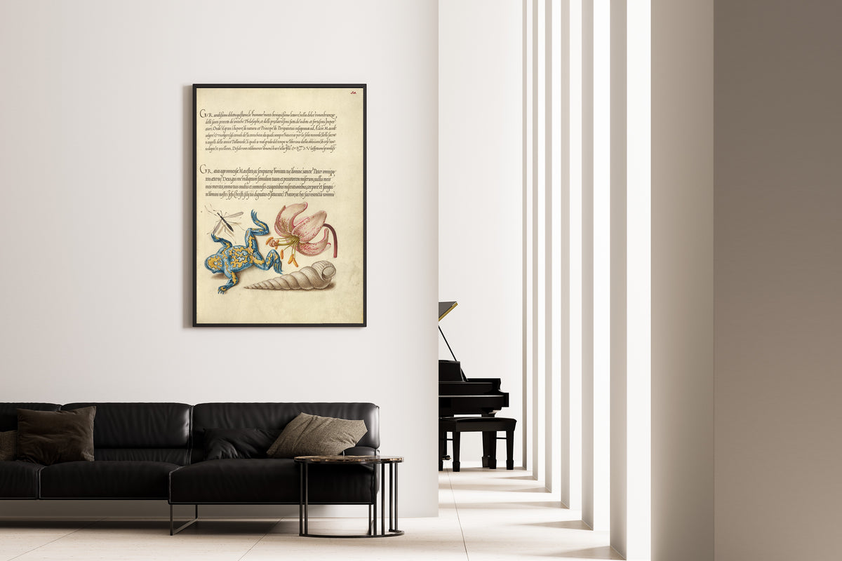 Joris Hoefnagel — Water Gnat, Martagon Lily, Yellow-Bellied Toad, and European Screw Shell | Botanical Calligraphy Print