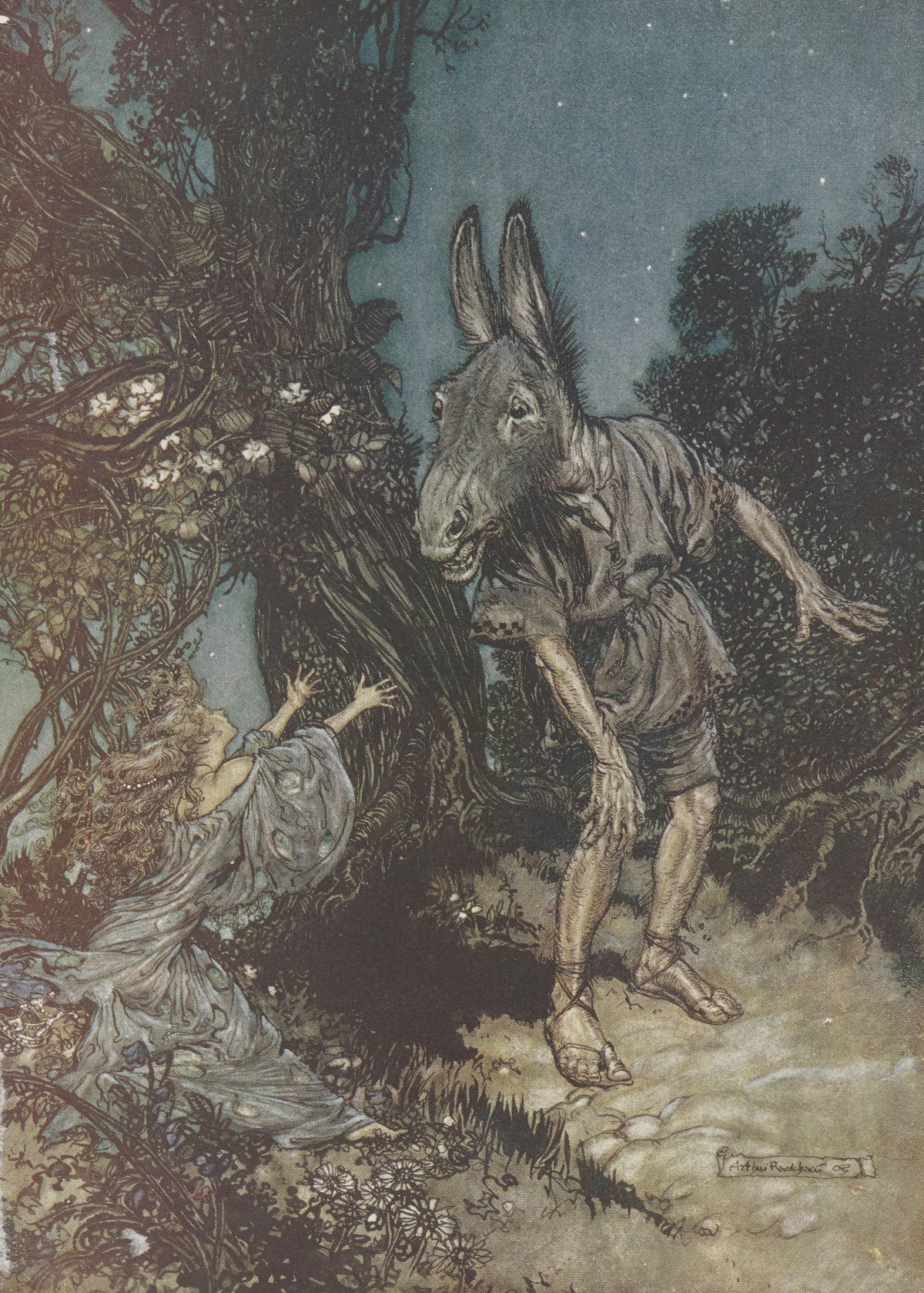 Arthur Rackham — What Angel Wakes Me from My Flowery Bed? | Shakespeare Illustration Print