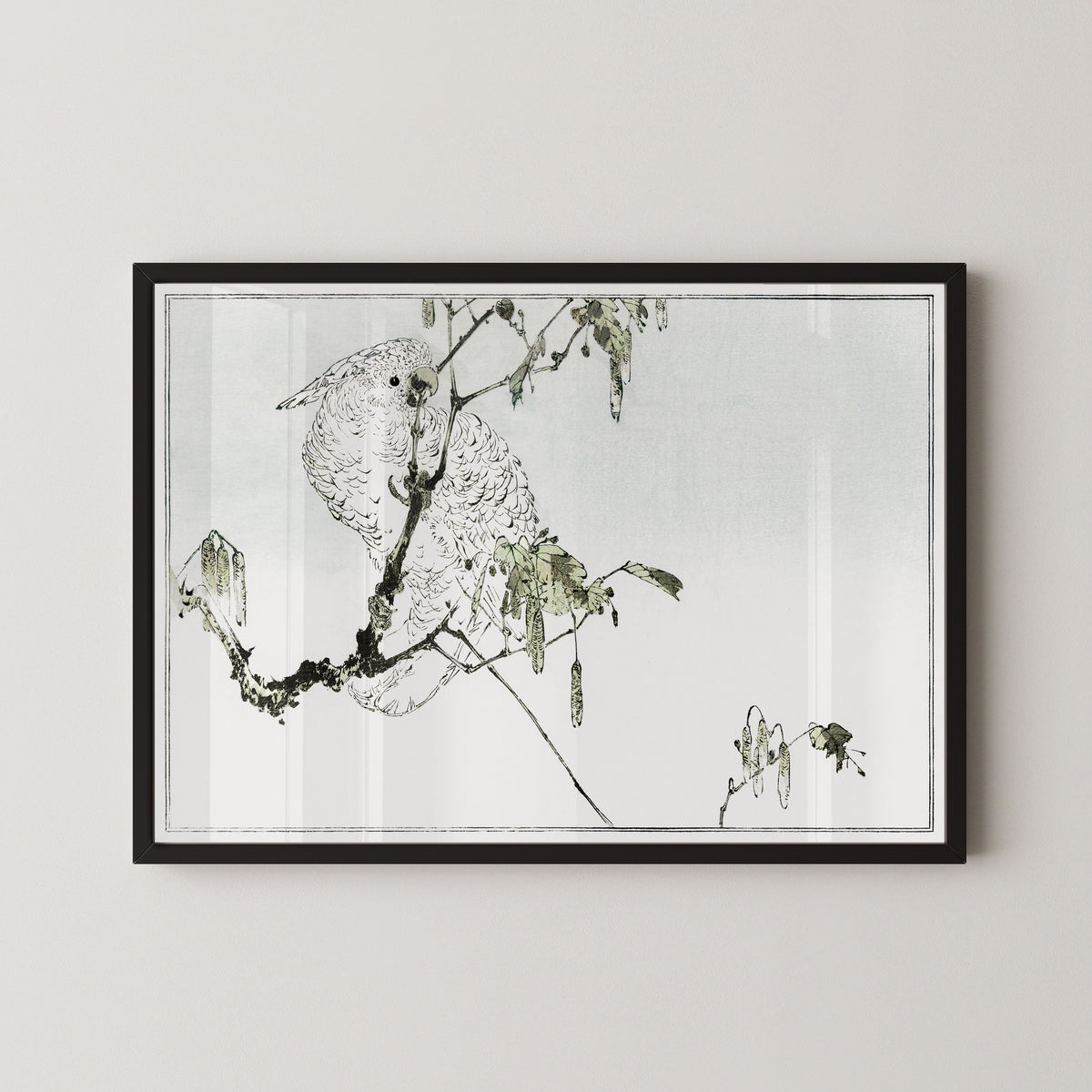 Watanabe Seitei — White cockatoo perched on a branch | Japanese Bird & Flower Woodblock Print