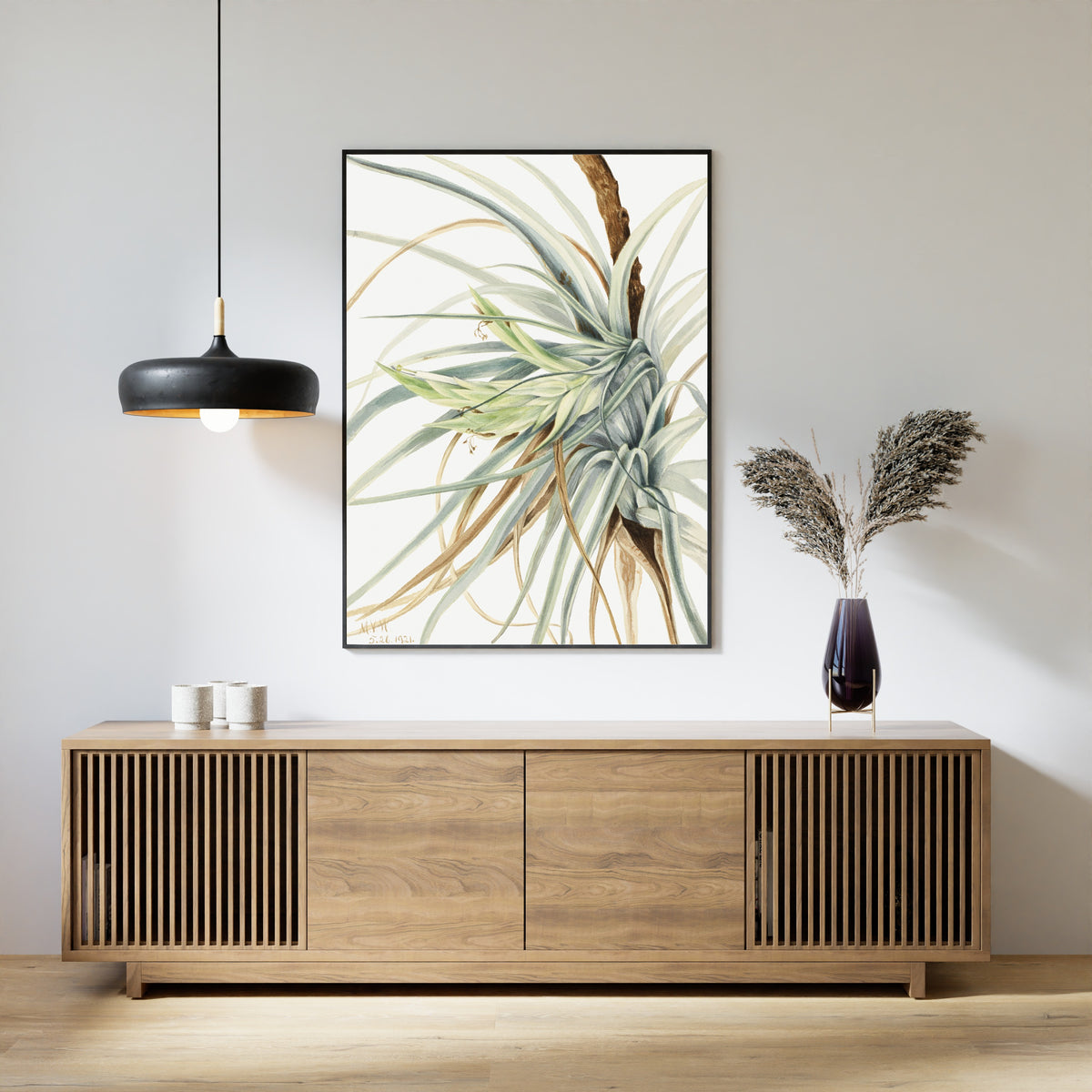 Mary Vaux Walcott — Wild Pineapple (Tillandsia fasciculata) | Natural History Print