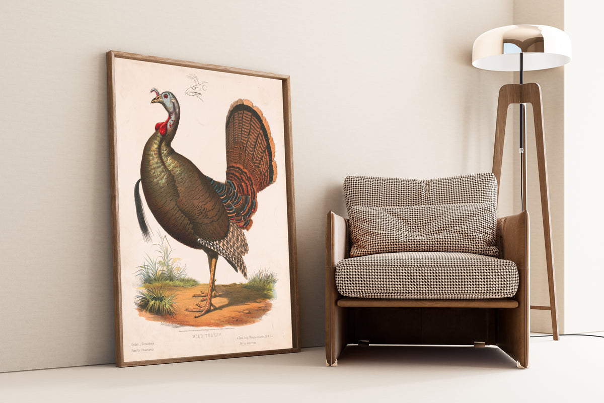 Louis Prang & Co. — Wild Turkey | Natural History Print