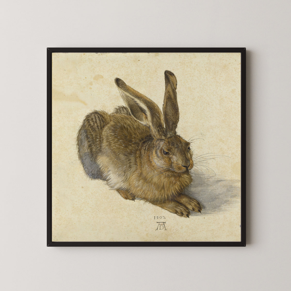 Framed art print of Young Hare by Albrecht Dürer, in a black frame on a pale wall