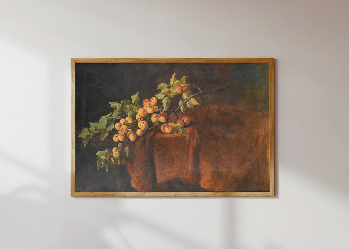 Framed art print of Apricot Branch by Adam Ludwig Kunz, in a light wood frame on a sunlit white wall