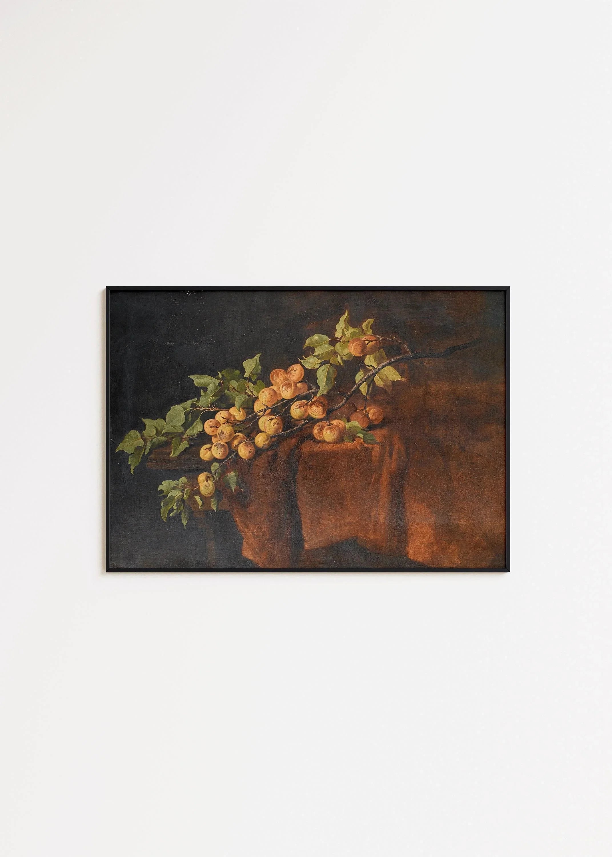 Adam Ludwig Kunz - Apricot Branch | Famous Still Life Art