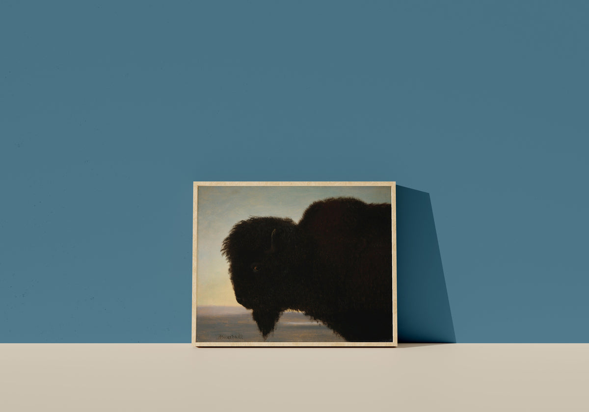 Framed art print of Buffalo by Albert Bierstadt, in a light wood frame leaning on a blue wall