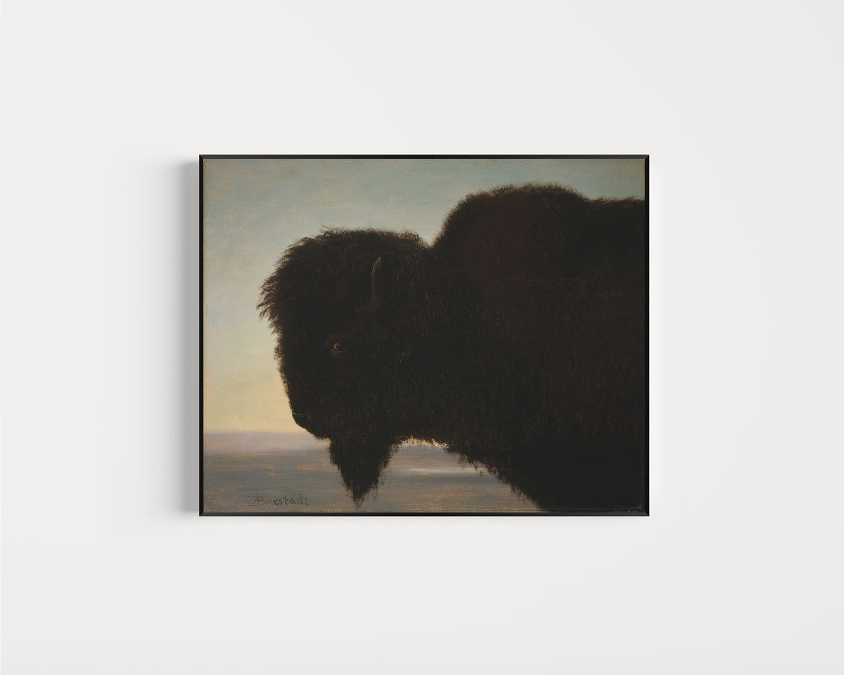 Framed art print of Buffalo by Albert Bierstadt, in a slim black frame on a plain white wall