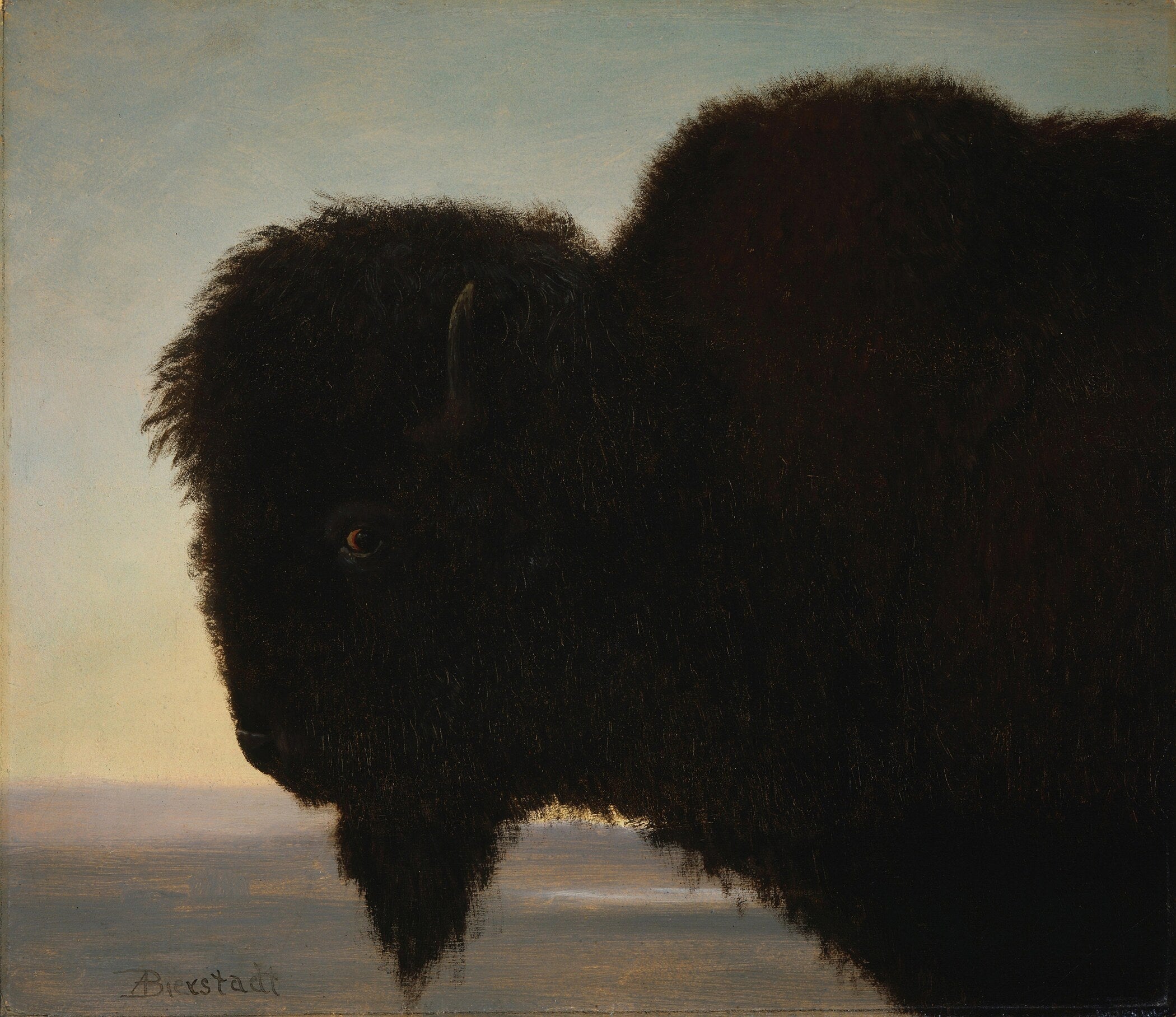 Albert Bierstadt — Buffalo | Fine Art Print - 9ArtPrints